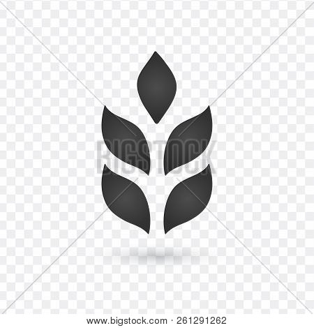 Ear Of Wheat, Barley Or Rye Vector Visual Graphic Icon, Vector Illustration Good For Labels, Web, Lo