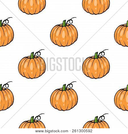 Pattern Pumpkin - Squash For Halloween Or Thanksgiving Flat Color Icon For Apps And Websites