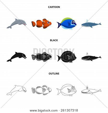 Isolated Object Of Sea And Animal Icon. Set Of Sea And Marine Stock Vector Illustration.