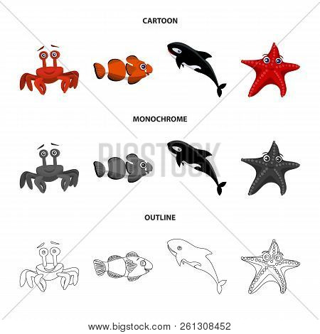 Vector Illustration Of Sea And Animal Symbol. Set Of Sea And Marine Vector Icon For Stock.