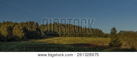 Meadows And Forest In Sumava National Park In South Of Bohemia