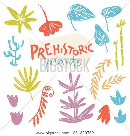 Vector Collection Of Hand Drawn Textured Prehistoric Plants. Nai