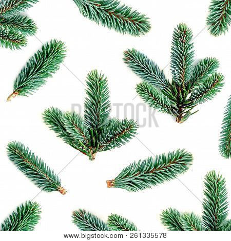 Fir Branches Pattern. Pine Branch, Christmas Confier Tree Isolated On White Background.
