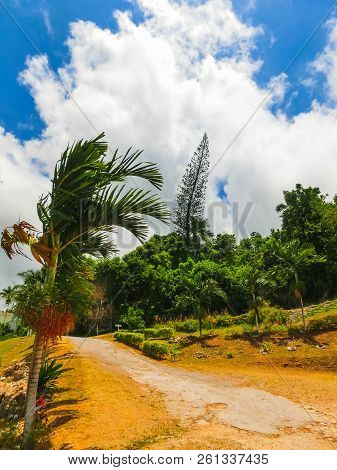 Green Natural Park Landscape Scenery At Ys Falls, Jamaica, Caribbean Island