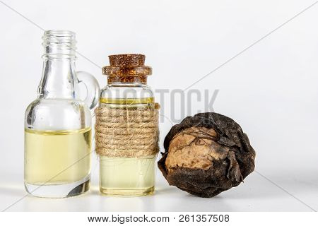 Oil In A Bottle And Walnuts On A White Kitchen Table. Spices And Ingredients Useful In Kuchi.
