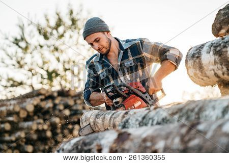 Strong Professional Lumberman Use Chainsaw On Sawmill. Lumberjack Sawing Big Tree