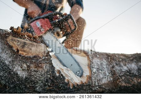 Closeup View On Strong Hand Lumberjack And Chainsaw. Professional Lumberman Sawing Tree