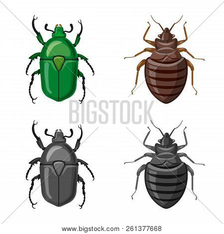 Isolated Object Of Insect And Fly Icon. Set Of Insect And Element Vector Icon For Stock.