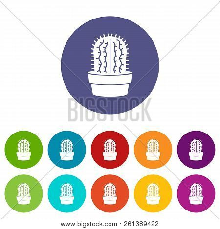 Echinocereus Icon. Simple Illustration Of Echinocereus Vector Icon For Web