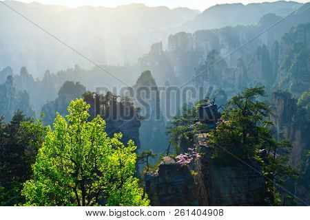 Famous tourist attraction of China - Zhangjiajie stone pillars cliff mountains on sunset at Wulingyuan, Hunan, China