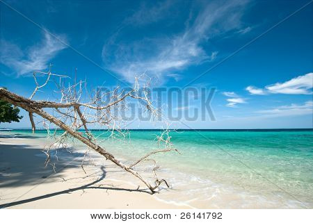 Thai havet: White Sand Beach og blå himmel