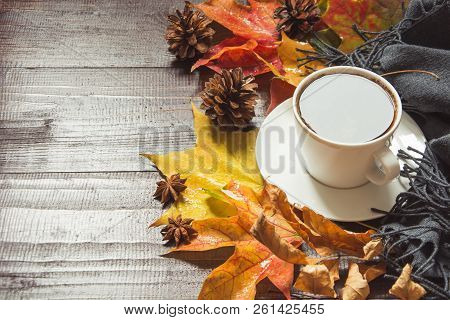 Autumn Still Life With Cup Of Coffee, Cone, Cinnamon, Warm Scarf On Wooden Board. Copy Space. Top Vi