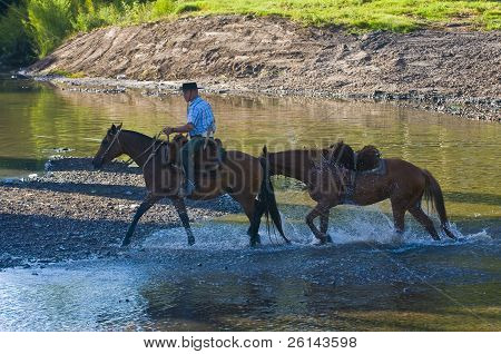 Gaucho Festival