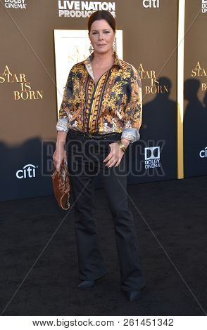 LOS ANGELES - SEP 24:  Marcia Gay Harden arrives for the 