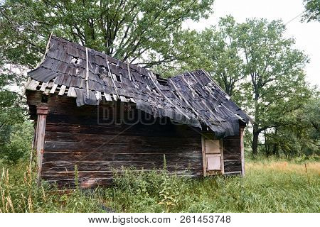 old wooden house in the forest