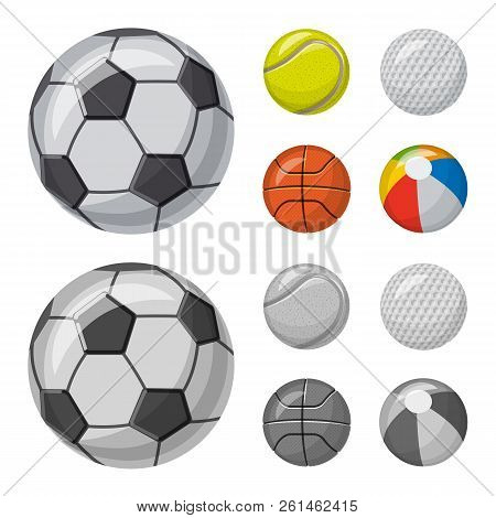 Vector Illustration Of Sport And Ball Icon. Set Of Sport And Athletic Stock Vector Illustration.