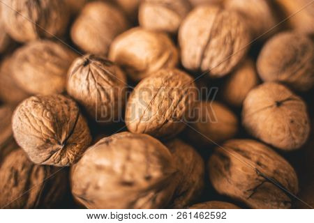 Closeup Of Nuts In A Cup In Autumn