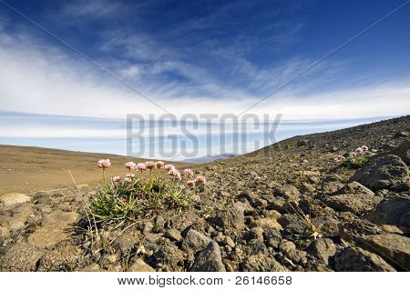 die öde, grobe vulkanischen Tundra Landschaft des isländischen Interieur Hochland mit der Langjokull Detroit