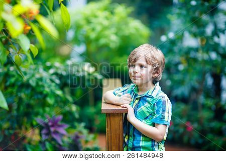 Little Blond Preschool Kid Boy Discovering Flowers And Butterflies At Botanic Garden