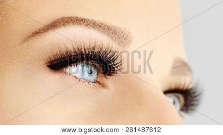 Female Eye With Extreme Long False Eyelashes And Black Liner. Eyelash Extensions, Make-up, Cosmetics