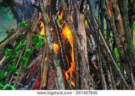 Fresh Branches With Green Leaves Still On Burned In The Bonfire At Campsite.