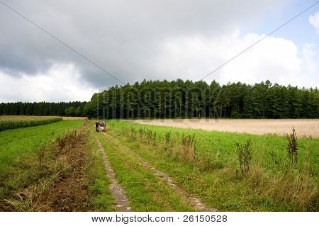 Un gruppo di escursionisti a piedi su una strada sterrata, accanto a un campo di grano, nei monti delle Ardenne, Belgi