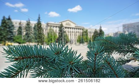 Blur Empty Square Background Near Building With Spruce Branch Close-up, Macro