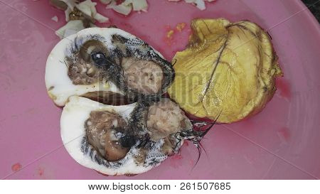Balut Embryo Traditional Food, Dug Egg,  Asia