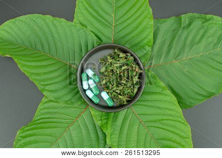 Mitragynina Speciosa Or Kratom