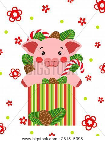 Happy New Year Cute Pig In Gift Box Postcard Chinese. Symbol Of The Year 2019 Vector Illustrtion