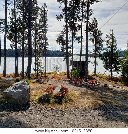 Foliage In Vibrant Fall Colors Of Red And Yellow Along The Shores Of Elk Lake In The Cacade Mountain