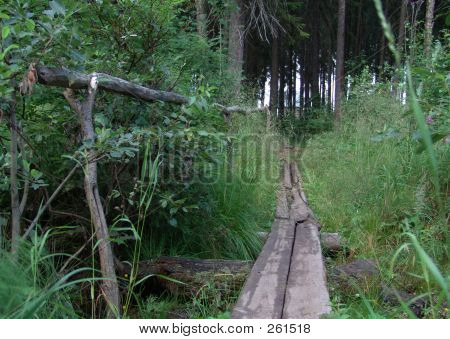 Pequeño camino