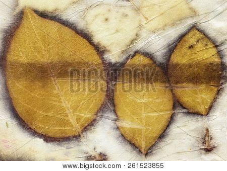 Botanical Print With Leaf Prints On Natural Silk. Hand-drawn Illustration.9
