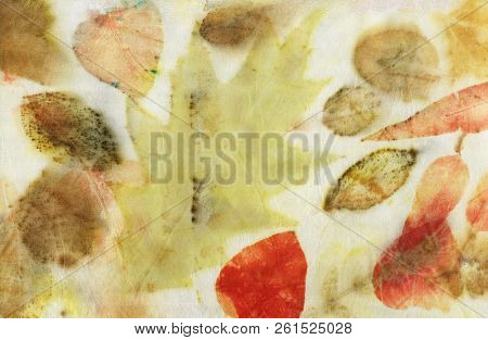 Botanical Print With Leaf Prints On Natural Silk. Hand-drawn Illustration.4