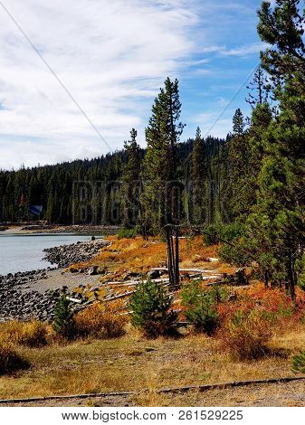 Foliage In Vibrant Fall Colors Of Red And Yellow Along The Shores Of Elk Lake In The Cacade Mountain