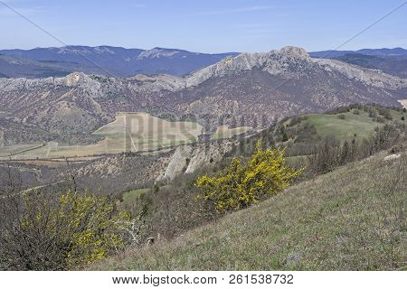 Blossoming Dogwood On The Slope Of The Tokluk-syrt Ridge. Crimea, Spring, Early April. Sunny Day.