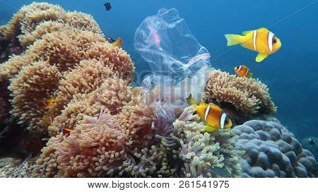 Beautiful Coral Reef With Sea Anemones And Clownfish Polluted With Plastic Bag - Environmental Prote