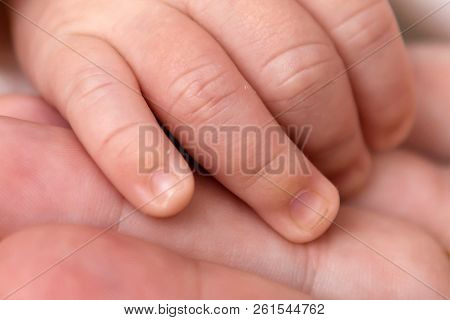 Gentle Fingers Hand Newborn Close. The Tenderness Of Motherhood Is In The Details. Procreation In Ch