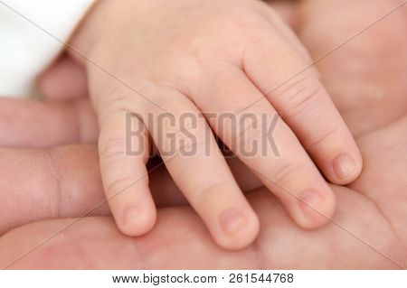 Hand Newborn In The Palm Of A Parent. Tenderness Of Motherhood Is In The Details. Procreation In Chi