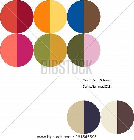 Trendy Color Scheme By Plain Color Patches. Spring And Summer 2019. Poster