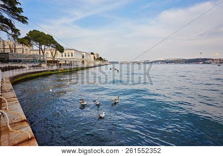 Bosphorus With A Old Town On A Background, Istambul