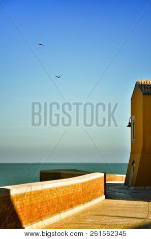 Termoli is a seaside resort famous for its very charming and ancient downtown.The old downtown has medieval origins, it is perched on a rocky promontory,