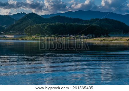 Pine Trees On River Island