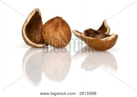 Kernel di un Huzelnut