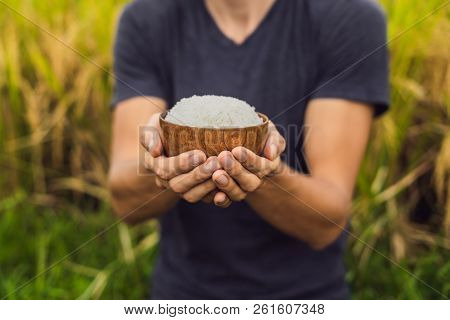 Man Is Holding A Cup Of Boiled Rice In A Wooden Cup On The Background Of A Ripe Rice Field