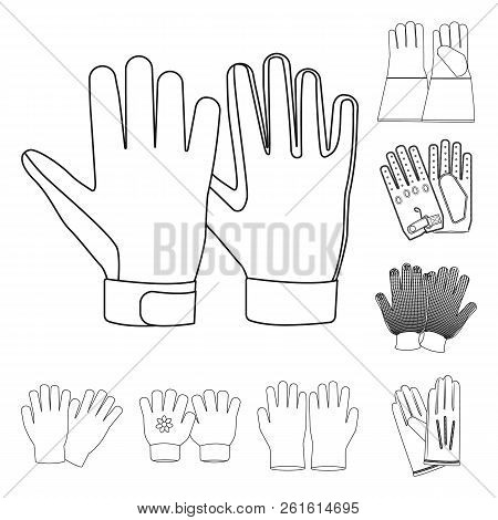 Vector Design Of Glove And Winter Logo. Collection Of Glove And Equipment Stock Vector Illustration.