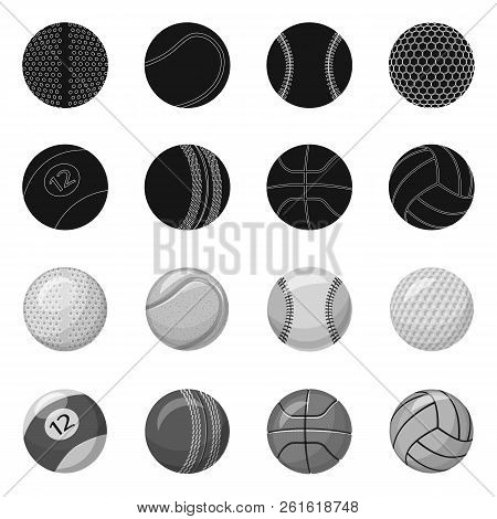 Vector Design Of Sport And Ball Icon. Set Of Sport And Athletic Vector Icon For Stock.