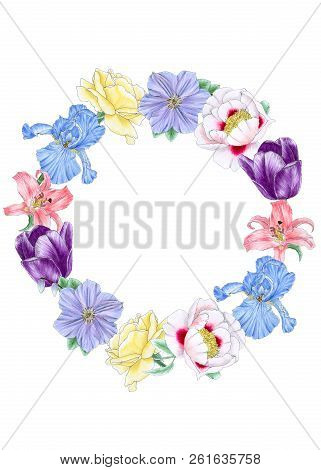 Wreath Of The Hand Painted Flowers: Lily, Peony, Rose, Iris, Clematis And Tulip. Isolated On A White