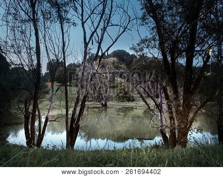 Shot Of The Little Lake Of The Lambro Park In Milan In Autumn