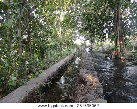 Scenery in the area around the merbabu mountains on the Indonesian island of Java